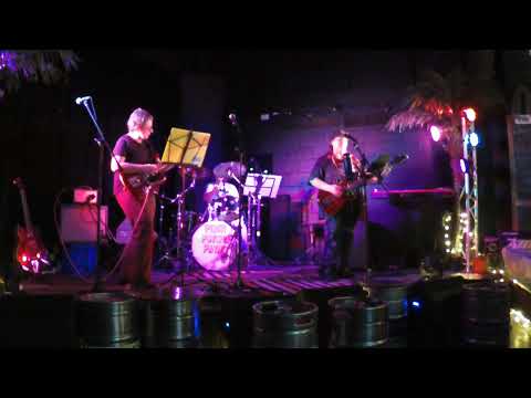 Zombies Ate My Homework (Live) - performed by Perky PsychoPaths* (original song)