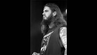 Pantera - Live in a hole (only vocals)