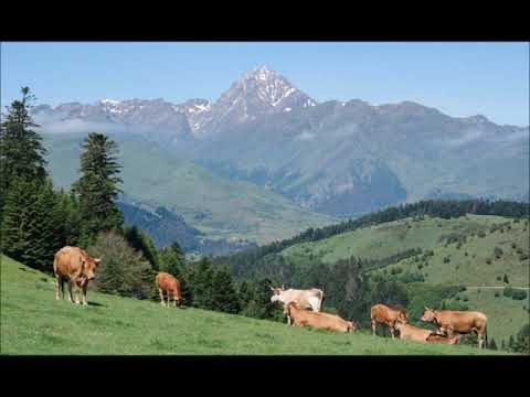 Halte là ! Les Montagnards sont là !