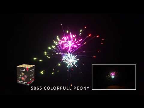 5065   Colorfull peony 5063,5067