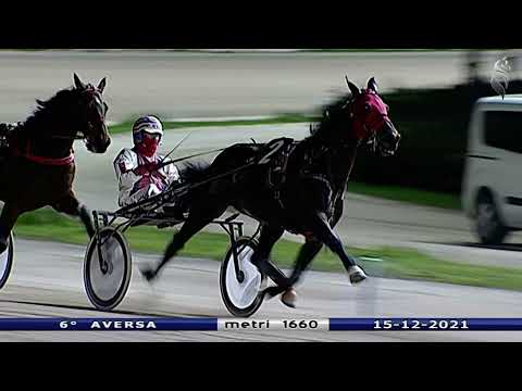 Aversa trotto 15 Dicembre 2021 - 6° Corsa
