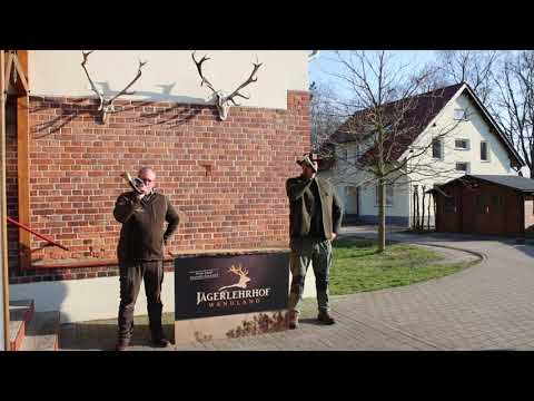 Jägerlehrhof Wendland - Treiber in den Kessel