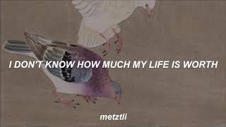 Luis Miguel - Paloma Querida (beloved dove;english lyrics)