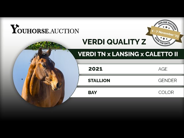 Verdi Quality Z