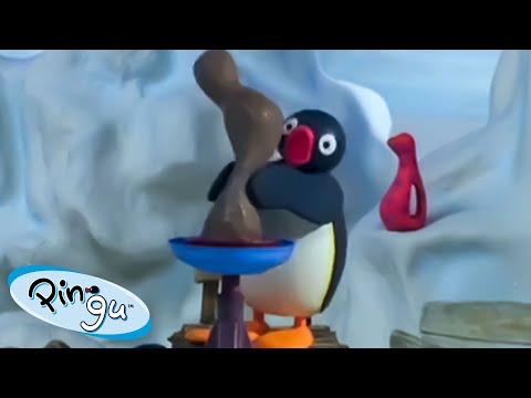 Pingu Tries New Things 🐧 | Pingu – Official Channel | Cartoons For Kids - Kids (0-4), Kingdom Kids Zone - Pingu - Official Channel