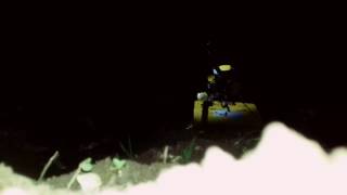 Committed to the cause!