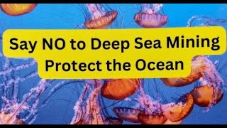 Why Canada Must Say “NO!” to Deep-Sea Mining (Recording)