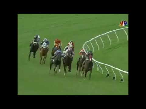 The Name Behind the Race: The Kitten's Joy Stakes