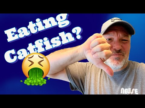3 Tips to Transform Catfish into Delicious Delicacy | Elevate Your Catfish Game