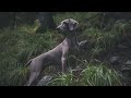 While the Gamekeepers Lie Sleeping