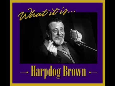 Headin' Out -  Harpdog Brown