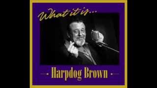 Headin' Out -  Harpdog Brown