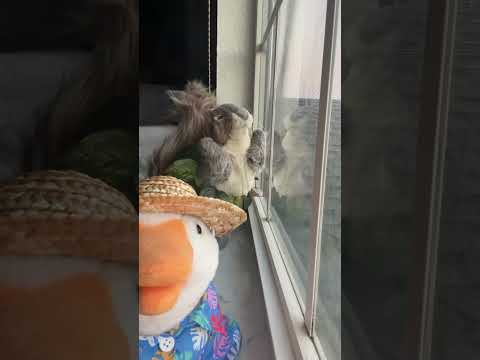 Again with Duq 🔥❤️