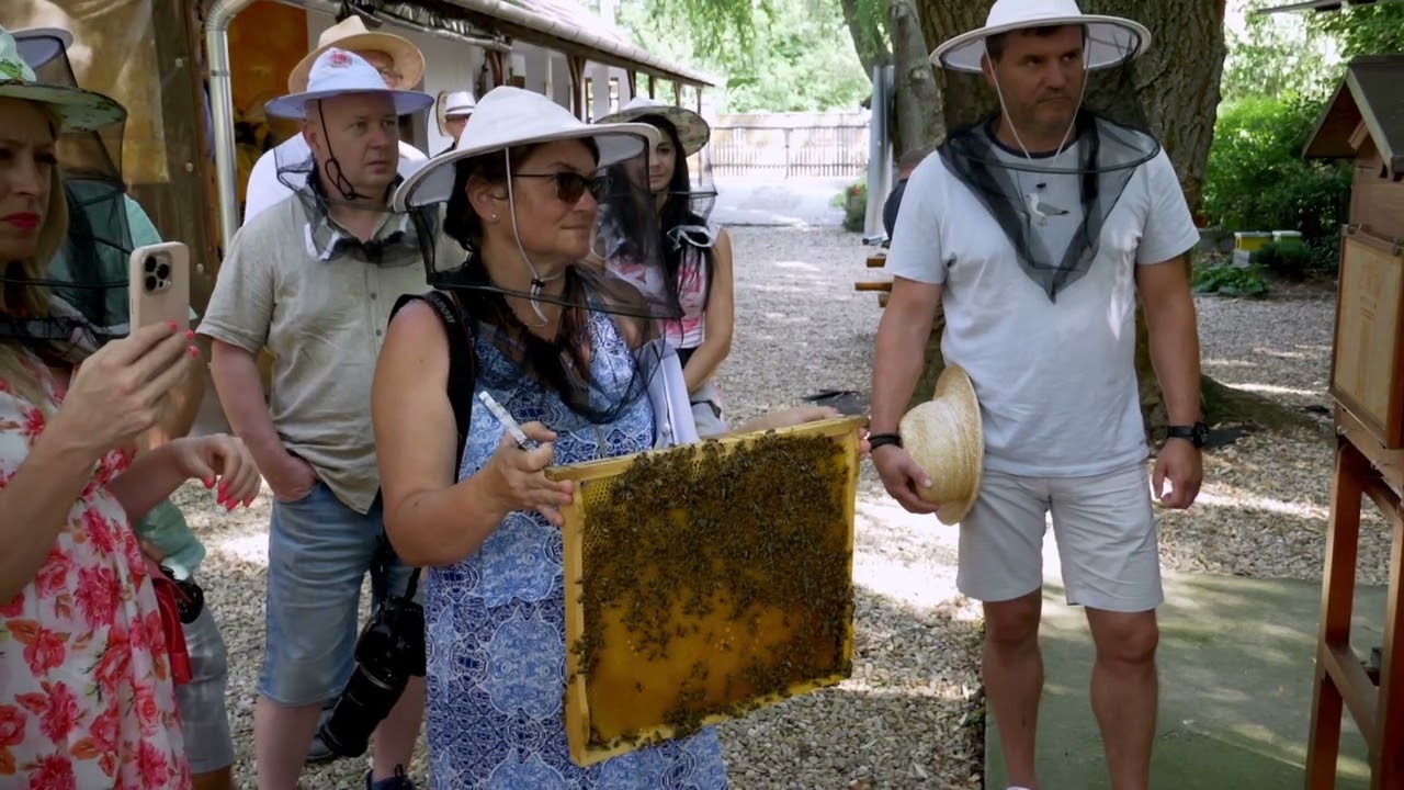 Magyarország Legszebb Állattenyésztő Birtoka Mézes Gergő Méhészete
