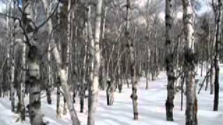 Drive the cold winter away