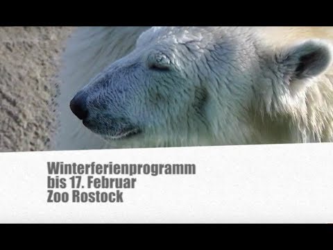 Kulturtipps vom 08.02.2019