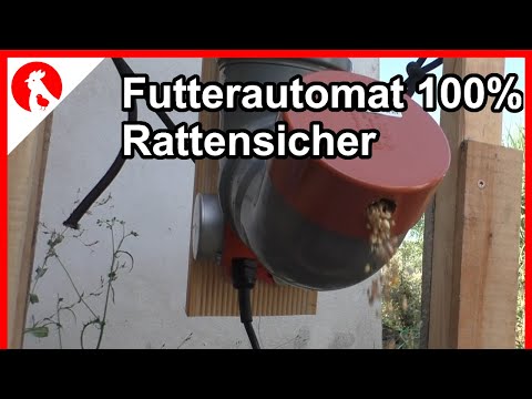 100% Rattensicherer Futterautomat für Hühner - F192  - rat mice proof chicken feeder -