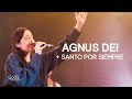 Agnus Dei Santo Por Siempre God S Version Musica Cristiana