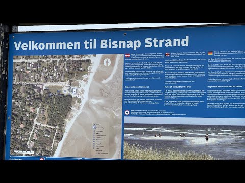 Video-Vorschau