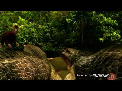 Dinosaur planet: pod fighting for a carcass