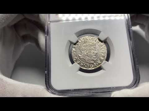 Zygmunt II August, grosz na stopę litewską 1555, Wilno