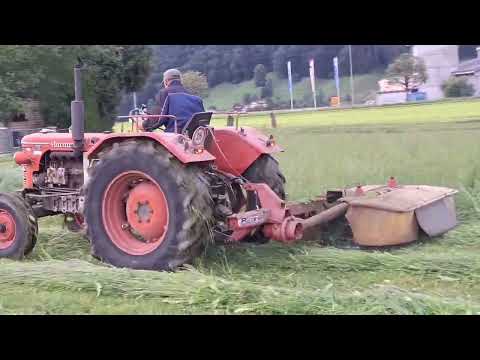 Hürlimann D-110 am mähen! Metzger gibt Gas!