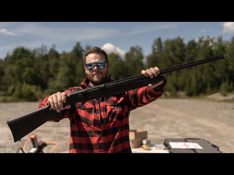 CHARLES DALY 601 Semi-Automatic Shotgun FIRST SHOT Review