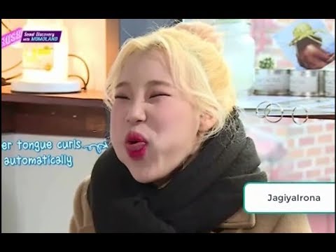 WHY WE LIKE CUTE AND FUNNY MOMOLAND JOOE