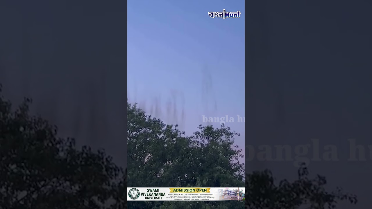 আকাশ কালো করে গাছের উপর থেকে ঝাঁকে ঝাঁকে উড়ে আসছে ওগুলো কী? ভাইরাল ভিডিয়োয় তোলপাড় !