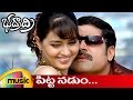 Bhadradri Telugu Movie Video Songs Pitta Nadumu Full Video Song Sri Hari Gajala Mango Music