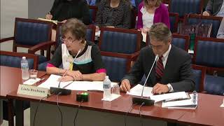 Organohalogen Flame Retardants Petition; Oral Presentations - Panels 1-4