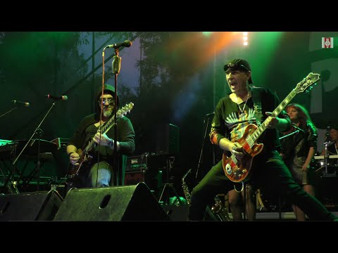 20 jubileusz zespołu ZŁE PSY