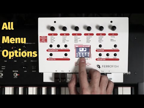 Ferrofish Ferrofish B4000+ Organ Module White/Red image 5