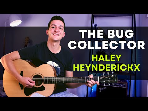 The Bug Collector (Haley Heynderickx) Guitar Lesson | Fingerstyle Guitar Tutorial