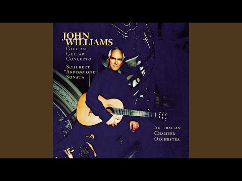 Arpeggione Sonata in A Minor, D. 821 (Arr. J. Williams for Guitar and Orchestra) : II. Adagio