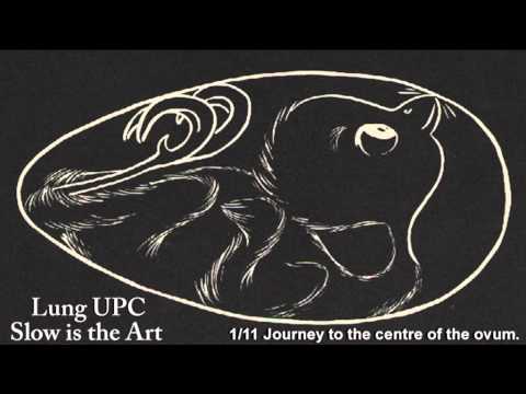 Lung UPC - Journey to the centre of the Ovum