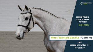 Most Wanted Baraka - onder het zadel