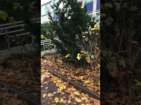 Här bodde vi till 1973 Täby Grindtorp