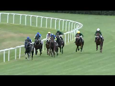 2023.10.08. 1. Futam - NYERETLEN KÉTÉVESEK VERSENYE (IV.kat.) I. rész