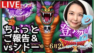 今後の活動について＆ちょっとだけシドー『ドラゴンクエスト10』顔出し女性実況生配信