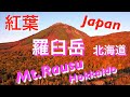 channel