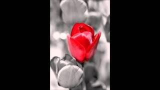 MAKE DIAMONDZ -REASON TO FEEL LOVE