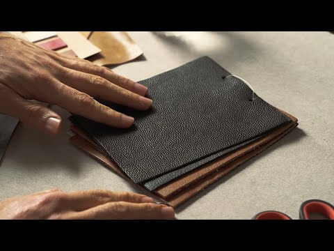 About Us: The TORRO Story