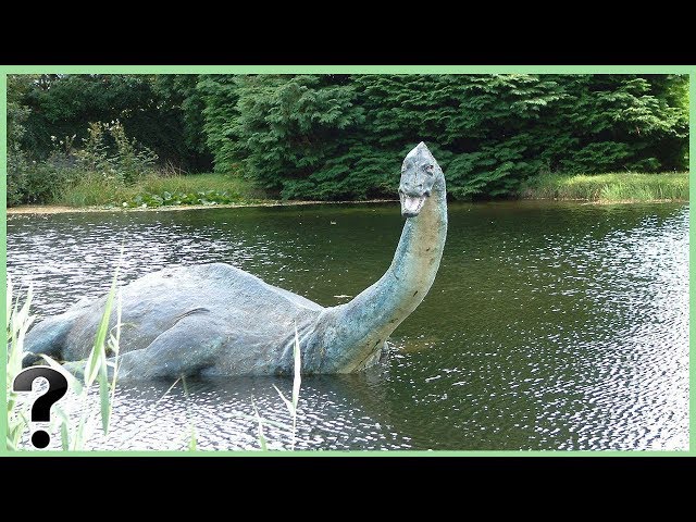 Videouttalande av plesiosaurus Engelska