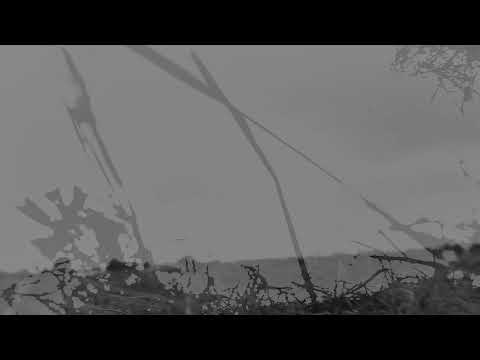 Brest feat. Vesna Zornik - Zlato