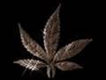 bone thugz...(bad weed blues)