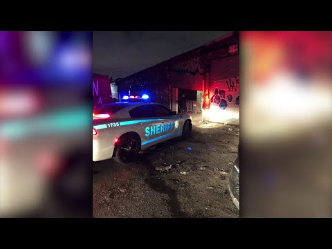 NYC Queens Nightclub Party Shut Down