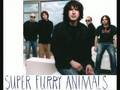 Super Furry Animals - The man don't give a fuck