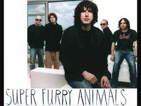 Super Furry Animals - The man don't give a fuck