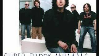 Super Furry Animals - The man don&#39;t give a fuck